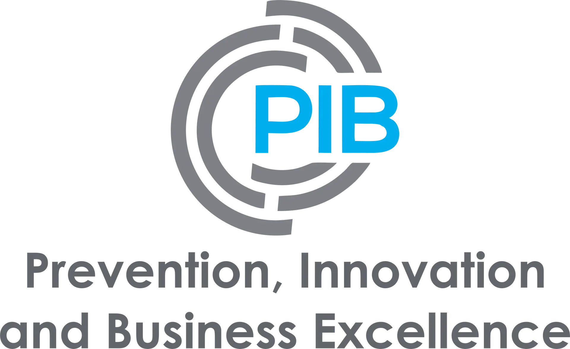 PIB- Prevention, Innovation, Business Excellence